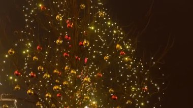 Noel ışıkları ve topları sokakta ağaç üzerinde.