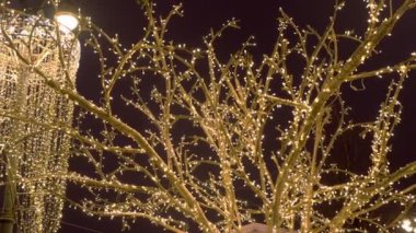 Ağaç dalları şenlikli ışıklar sarılmış. Noel sokak ışıkları.