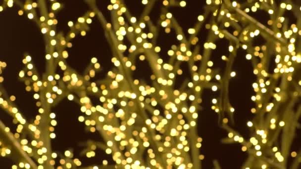 Дерево прикрашало гірлянди золотими лампочками. Різдвяні вуличні вогні. Крупний план, розмивання . — стокове відео