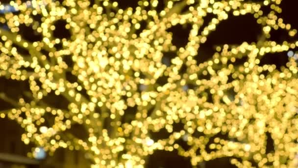 Árbol fue decorado garlandswit bulbos de oro. Luces de Navidad. Vista de cerca, desenfoque . — Vídeos de Stock
