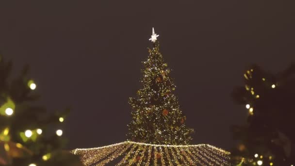 Schöner funkelnder Weihnachtsbaum auf dem Platz in der Nacht. — Stockvideo