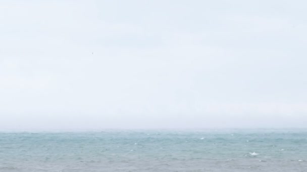 早朝の海を覆う霧。パステル カラーの美しい海景. — ストック動画