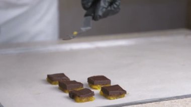 Çikolata şekerleme pralin için dolguları ile kayısı tohum spatula kullanarak bölün. Baker kağıda koyar. Fırıncılar eller yakın çekim.