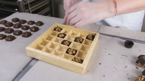 Las manos de los panaderos ponen caramelos de chocolate hechos a mano en una hermosa caja. Caja de regalo de dulces de chocolate . — Vídeos de Stock