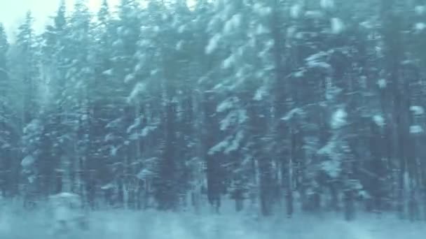 Vista della foresta invernale dalla finestra di un treno in movimento . — Video Stock