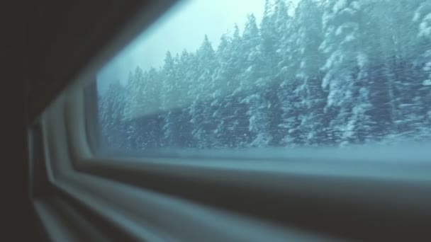 Uitzicht op het bos van de winter vanuit het raam van een rijdende trein. — Stockvideo