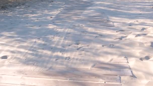 Trä strandpromenaden sökvägen på sandstranden. Spår av djur och människor på sanden. — Stockvideo