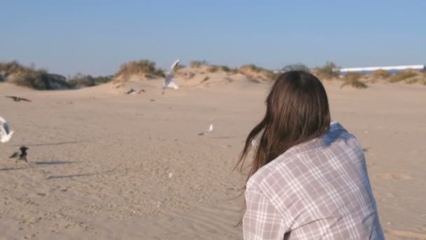 Kvinna matar fåglar måsar och kråkor på en sandstrand med sanddyner. — Stockvideo