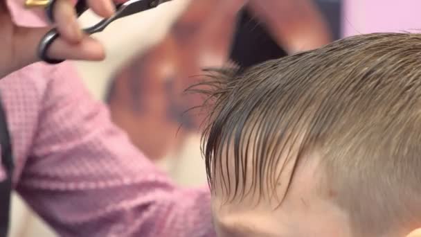 Hairdresser cuts bangs with scissors on boys head. Stylists hands close-up, side view. — Stock Video