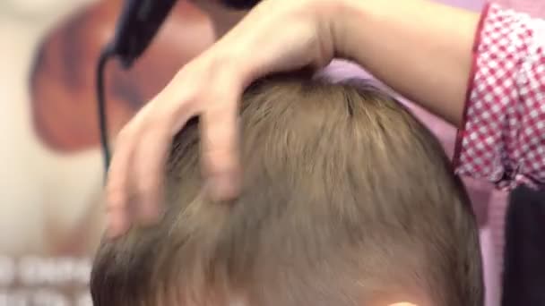 Cabeleireiro seca cabelos com secador de cabelo após corte de cabelo na cabeça dos meninos. Mãos estilistas close-up, vista lateral . — Vídeo de Stock