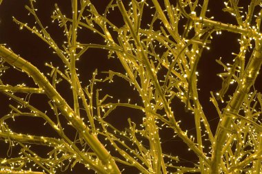 Ağaç dalları şenlikli ışıklar sarılmış. Noel sokak ışıkları. Yakın çekim görünümü.