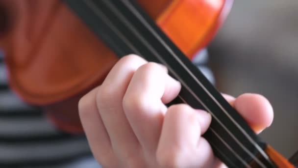 Violino nelle mani dei ragazzi. Il ragazzo sta imparando a suonare il violino. Corretta impostazione delle dita della mano sinistra sulle corde del violino . — Video Stock