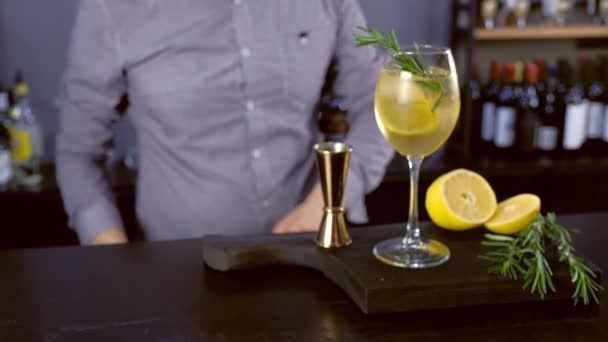 Barman puts straws in alcohol cocktail with sparkling wine, ice and liquor in wineglass, close-up view. — Stock Video