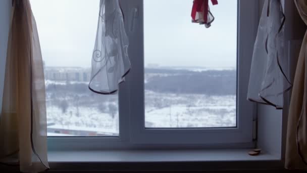 Vista desde la ventana de la habitación al bosque de invierno . — Vídeo de stock