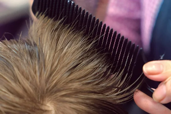 Hairdresser cuts hairs with clipper on boys head. Top view, stylists hands close-up. — Stock Photo, Image