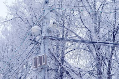 Kışın karlı ağaç arka plan üzerinde sokak lambasının lamba ve güç hattı.