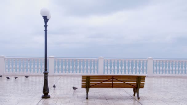 Mujer de chaqueta blanca y capucha vino y se sentó en el banco en la hermosa terraza con vista al mar en frente al mar. Vista trasera . — Vídeo de stock