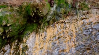 Yağmur damlaları yosun ile güzel kayalardan aşağı akış, yakın görüş.