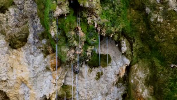 Des gouttes de pluie coulent des magnifiques rochers avec de la mousse, vue rapprochée . — Video