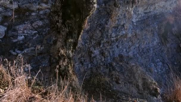 Piccolo corso d'acqua su una roccia dopo la pioggia. Vista da vicino . — Video Stock