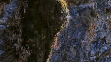 Küçük su akışı bir kayaya yağmurdan sonra. Yakın çekim görünümü.