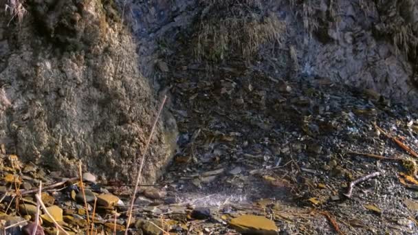 Pequeño arroyo de agua en una roca después de la lluvia. Vista de primer plano . — Vídeo de stock