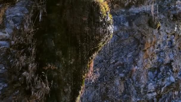 बारिश के बाद एक चट्टान पर छोटे पानी की धारा। दृश्य बंद करें . — स्टॉक वीडियो