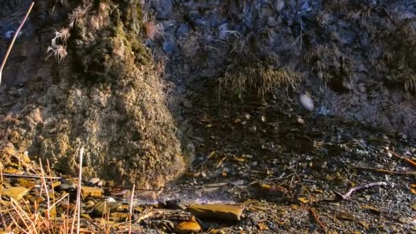 Pioggia pesante. Le gocce di pioggia colpiscono le pietre con il tempo soleggiato. Vista da vicino . — Video Stock