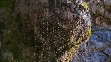 Küçük su akışı bir kayaya yağmurdan sonra. Yakın çekim görünümü.