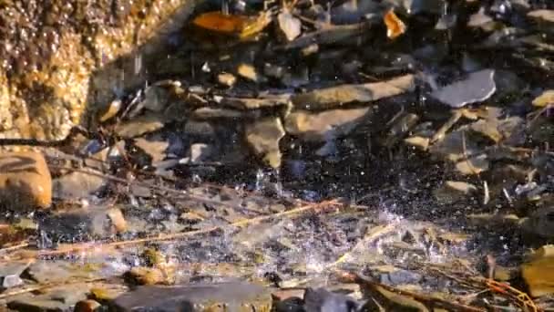 Chuva forte. Gotas de chuva atingem as pedras com o tempo ensolarado. Vista de perto . — Vídeo de Stock