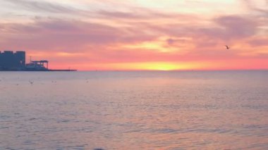 Denize güzel pembe günbatımı. Martılar sinek denize.