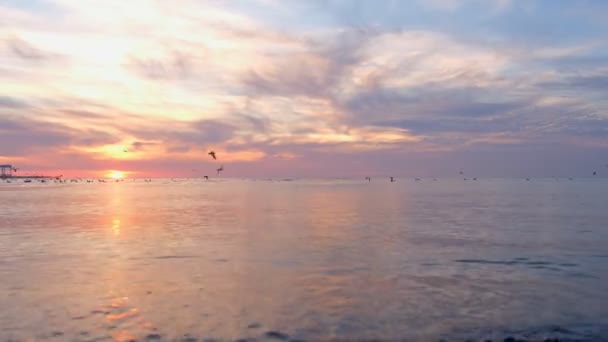 Piękny, różowy zachód słońca nad morzem. Seagulls latania nad morze. — Wideo stockowe