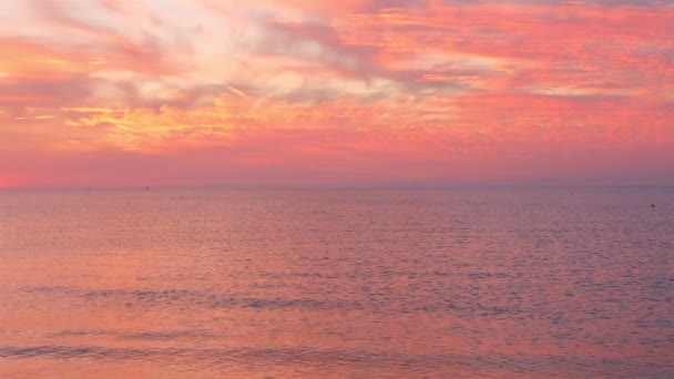 Vacker rosa solnedgång över havet. Måsarna flyger över havet. — Stockvideo