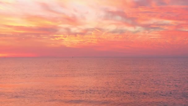 Gyönyörű rózsaszín naplemente a tenger fölött. Sirályok repülnek a tenger felett. — Stock videók