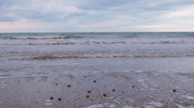 Fırtınalı dalgalar deniz köpüğü ile. Kum plaj kışın.