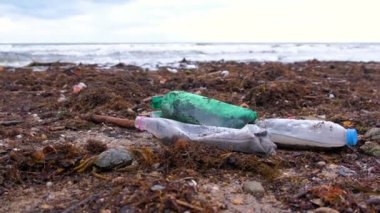 Plastik şişeler, yengeçler ve diğer enkaz kumlu seashore yosun arasında öldü.