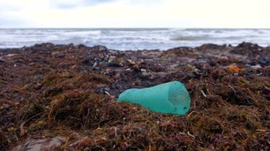 Plastik şişeler ve diğer enkaz arasında kumlu sahil üzerinde deniz yosunu.