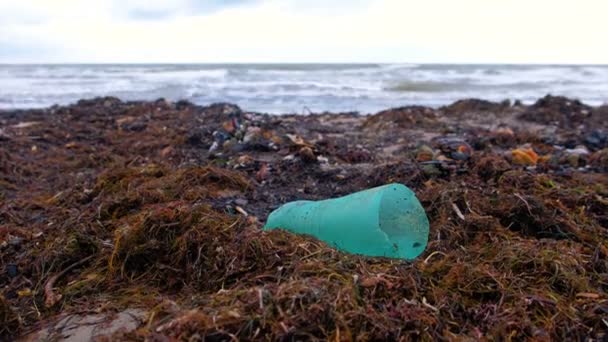 Plastik şişeler ve diğer enkaz arasında kumlu sahil üzerinde deniz yosunu. — Stok video