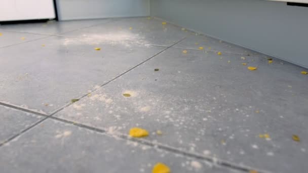 Dirty kitchen floor with food leftovers, flour, corn flakes after cooking. Close-up view. — Stock Video