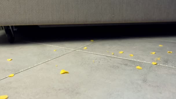 De kruimels van de graan vlok vallen aan de vloer naast de Bank. Cornflakes op de vloer op de grijze tegel. — Stockvideo