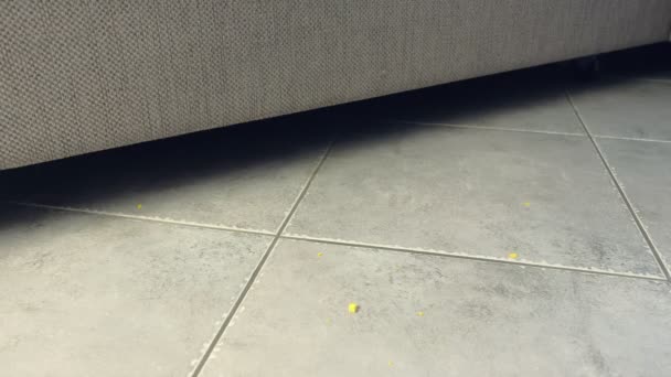 Neben dem Sofa fallen Cornflakes-Krümel auf den Boden. Cornflakes auf dem Boden auf der grauen Fliese. Seitenansicht. — Stockvideo