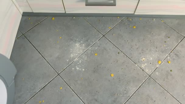 Cornflakes, flour and seeds on the gray tile on the kitchen floor. Dirty kitchen floor with leftovers. Top view. — Stock Video