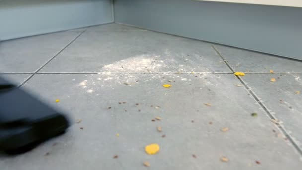 Dammsuga smutsiga köks golvet med grå kakel och majs flingor och mjöl utspridda på golvet. — Stockvideo