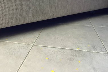 Kanepenin yanındaki katta Mısır pul kırıntıları. Mısır gevreği gri kutunun üzerindeki katta.