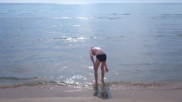 Niño está buscando conchas de mar . — Vídeos de Stock