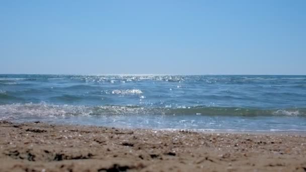 Θαλάσσιες ακτές σε αμμώδη παραλία. — Αρχείο Βίντεο