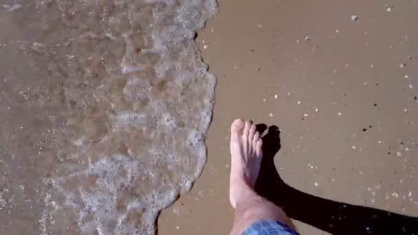 Mans bacaklar güneşli bir gün kumlu plajda yürüyor. — Stok video