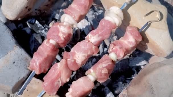 Shashlik cocinar en pinchos en piedra fogata hecha a mano con carbones calientes, vista superior . — Vídeo de stock