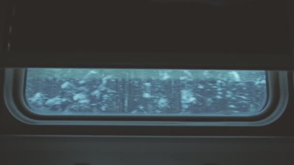 Vista del bosque de invierno desde la ventana de un tren en movimiento . — Vídeo de stock