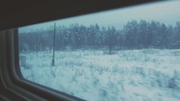 Blick auf den Winterwald aus dem Fenster eines fahrenden Zuges. — Stockvideo